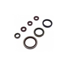 Kit retenes de motor Sherco SE R 250/300 14-20 Athena