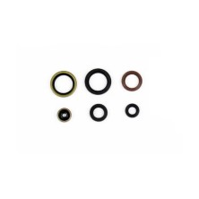 Kit de retenes motor KTM SX 125-150 2016-22 Athena