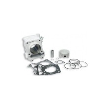 Cilindro S/Culata Aluminio D.58 Honda SH 125 ,125 4T Malossi