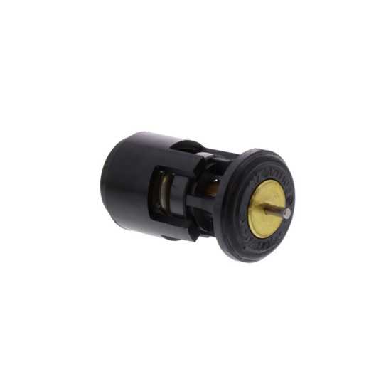Termostato BMW C 650/ F800 y demas modelos original