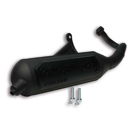 Escape homologado Wild Lion para Piaggio ZIP 50 2T Malossi
