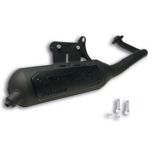 Escape homologado Wild Lion Piaggio Liberty 50 2T Malossi