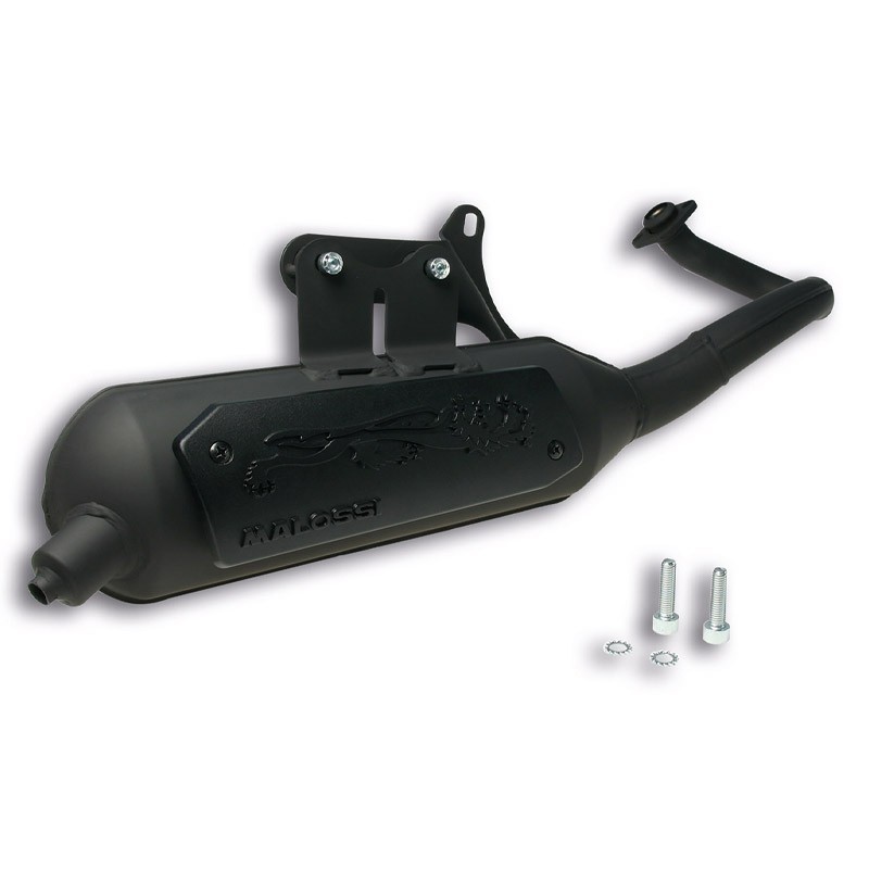 Escape homologado Wild Lion Piaggio Liberty 50 2T Malossi