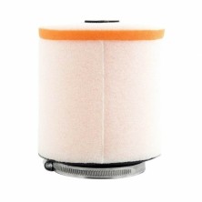 Filtro de aire Twin Air 150911