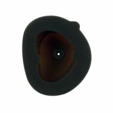 Filtro de aire Twin Air Kawasaki 151119FRSTD