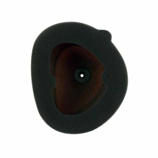 Filtro de aire Twin Air Kawasaki 151119FRSTD