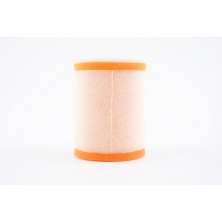 Filtro de aire Twin Air 153510