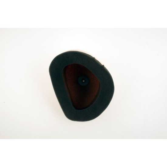 Filtro de aire Twin Air Kit Kawasaki KXF250/450