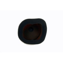 Filtro de aire Twin Air KTM 525 EXC RACING