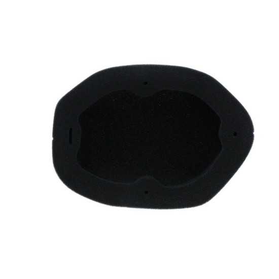 Filtro de aire ignífugo prelubricado TWIN AIR - KAWASAKI KX 450 2024