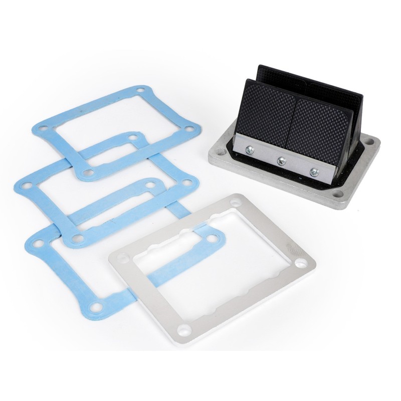 Caja láminas carbono, doble Prisma Honda NSR/Husqv. 125cc