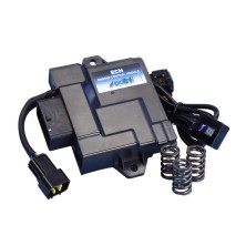 Centralita Polini ECM Piaggio Liberty / Zip 50cc 4T Euro 5