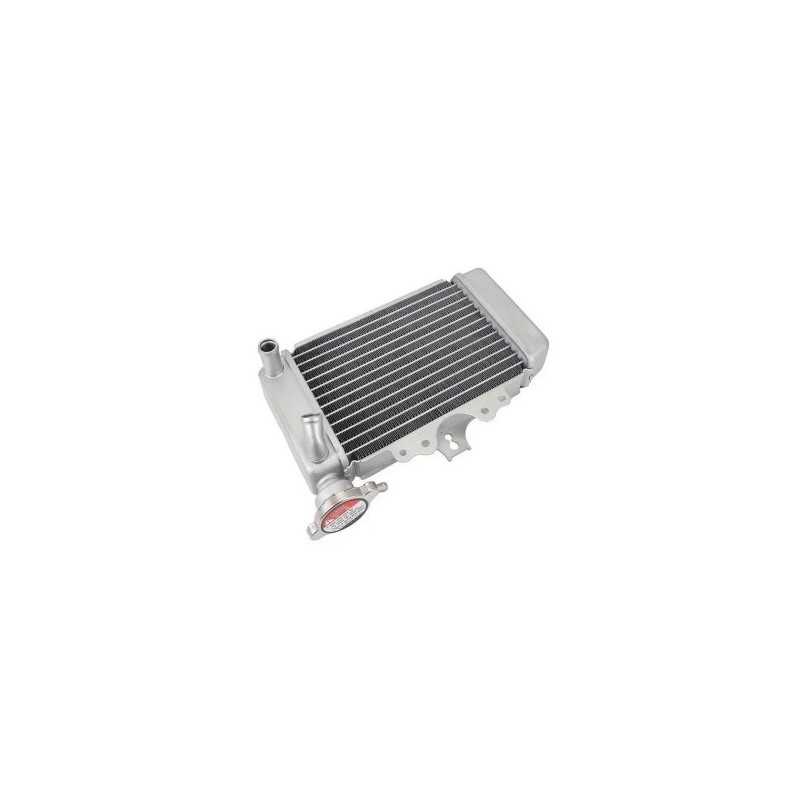 Radiador Honda SH 125-150cc 01-04 TNT