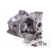 Carter TPR Factory AM6 para 100cc