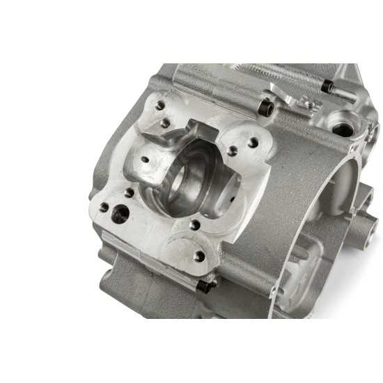 Carter TPR Factory AM6 para 100cc