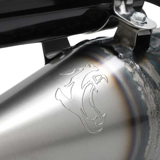 Escape Piaggio scooter 180cc Voca Racing Corse