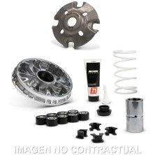Variador Malossi Multivar Zontes 250 D Euro 5