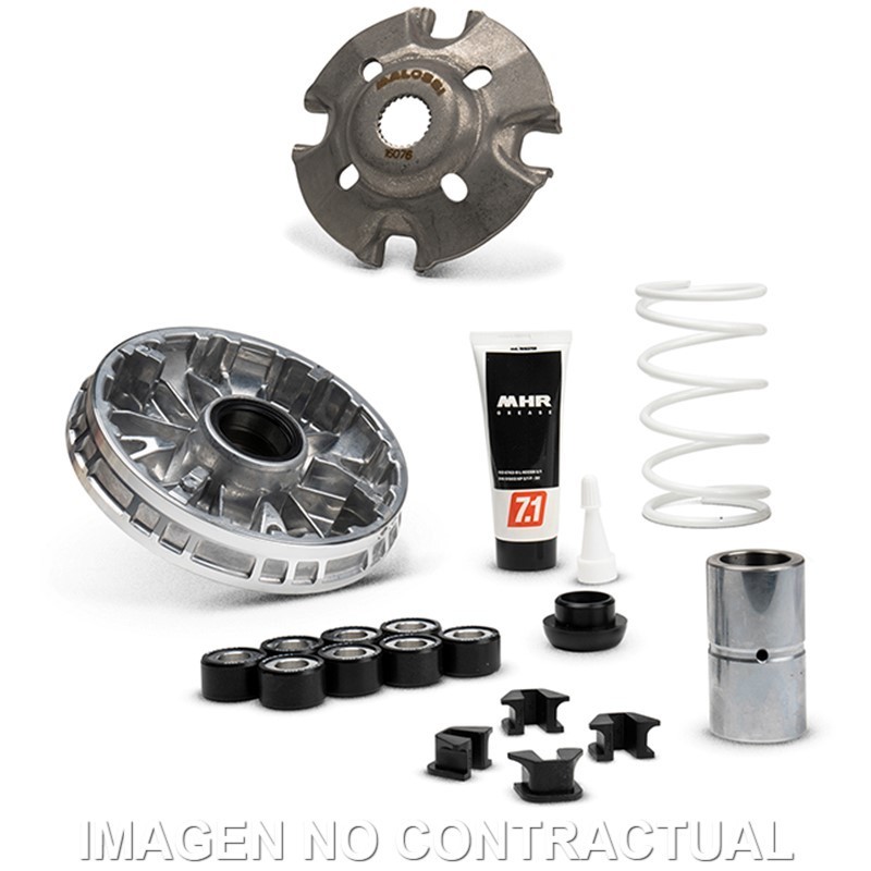 Variador Malossi Multivar Zontes 250 D Euro 5
