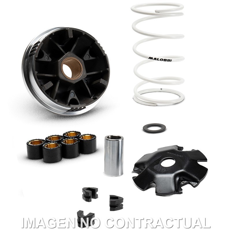 Variador Malossi Multivar Zontes 125D 4T E5+