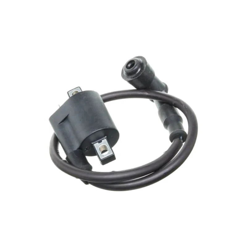 Bobina de alta Pitbike motor 190 Zongshen