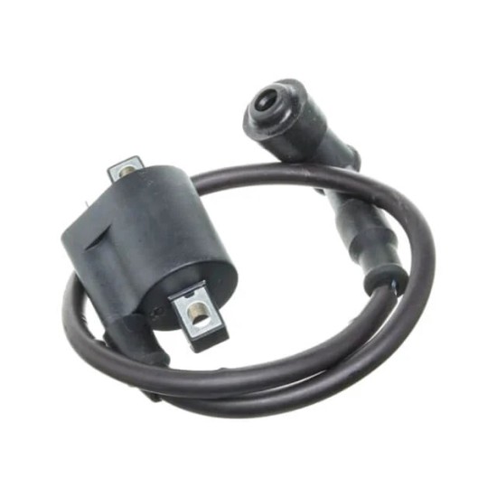 Bobina de alta Pitbike motor 190 Zongshen