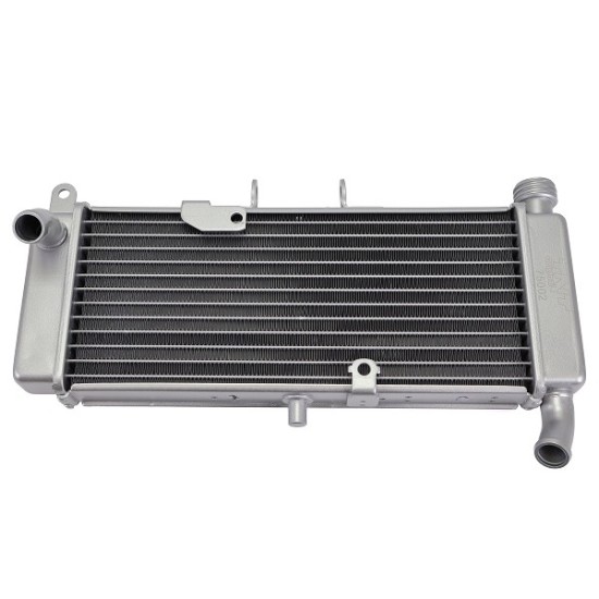 Radiador Aprilia RS 125 17-20