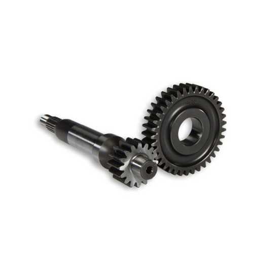 Piñones Primarios 16/ 37 Malossi Piaggio Zip hasta 00 Piñones Primarios 16/ 37 Malossi Piaggio Zip hasta 00