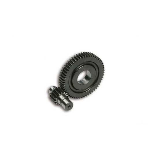 Piñones secundarios Malossi Piaggio 15/55 d.17mm eje sin estrias