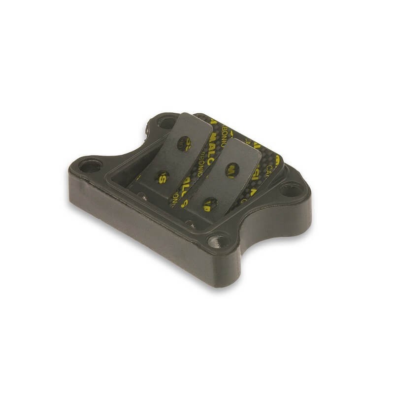 Caja de láminas Peugeot Speedfight Malossi VL9 carbono